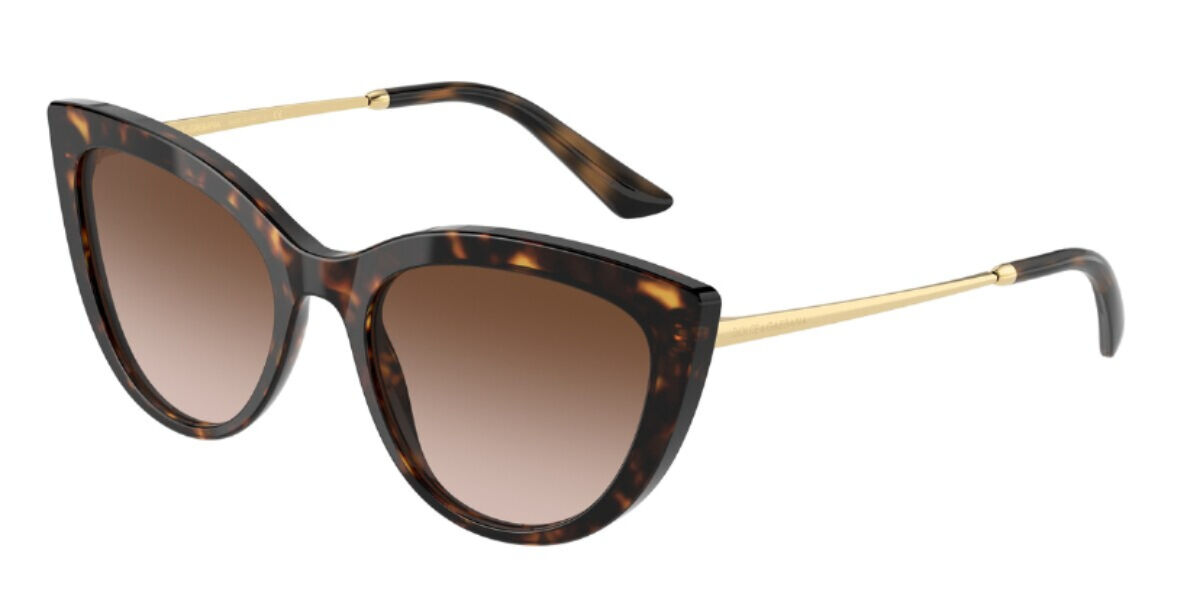 Dolce & Gabbana Sunglasses DG4408 502/13