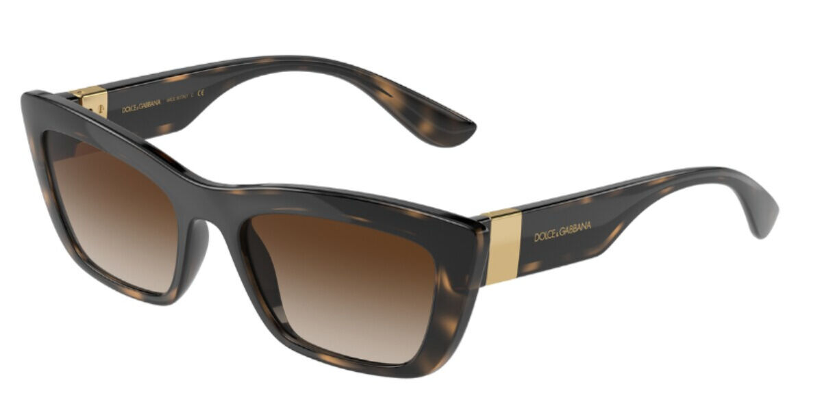 Dolce & Gabbana Sunglasses DG6171 330613