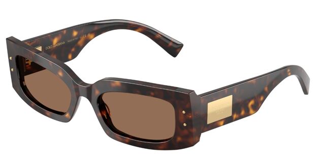 Dolce & Gabbana DG4479 502/73 Rectangle Shiny Dark Tortoise  display picture 1