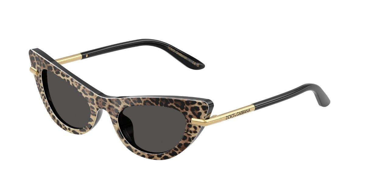 DOLCE & GABBANA ブラウン サングラス ブラウン ドルチェ＆ガッバーナ サングラス | 正規品保障