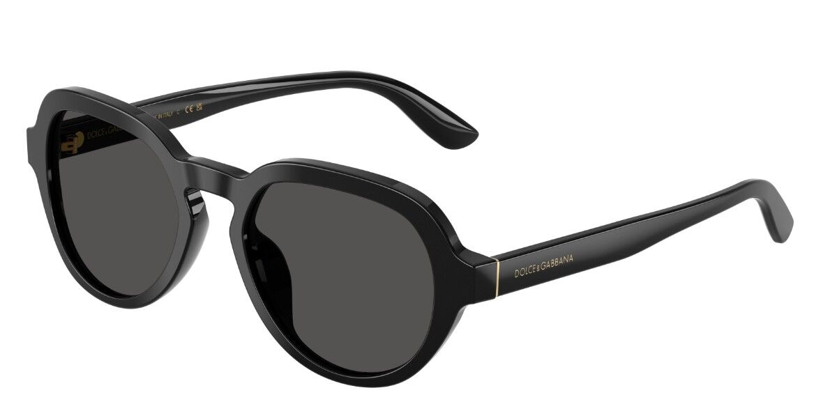 Dolce & Gabbana DG4567 501/87 Men's Sunglasses Black Size 52