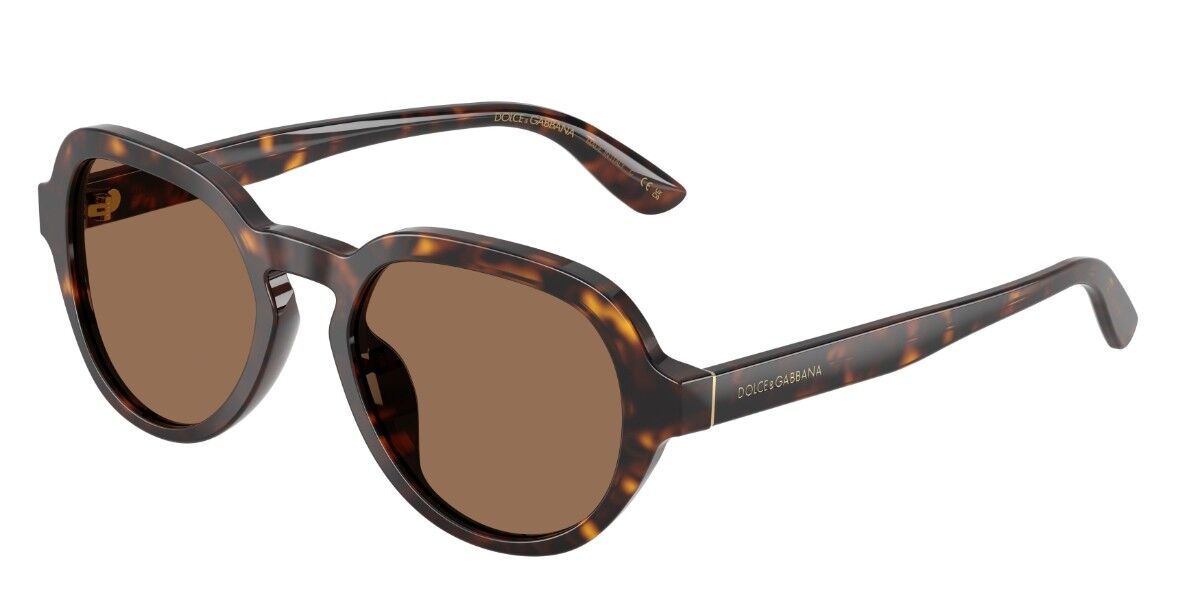 Dolce & Gabbana DG4567 502/73 52 Lunettes De Soleil Homme Ecailléesshell