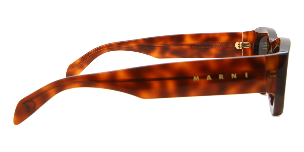 MARNI sunglasses eyewear サングラス　ベッコウ　鼈甲 MARNI sunglasses eyewear サングラスベッコウ鼈甲