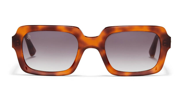 Taylor Morris Sidney C8 Rectangle Light Tortoise Sunglasses  display picture 2