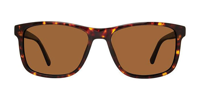 Tortoise Shell Sunglasses by Prive’ Revaux Brand. Prive Revaux Bimini | Eyeglass World main image 3