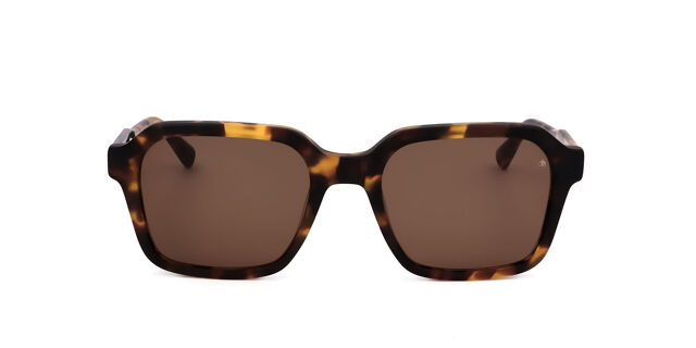 Scotch & Soda SS8008 104 Square Dark Tortoise Sunglasses  display picture 3