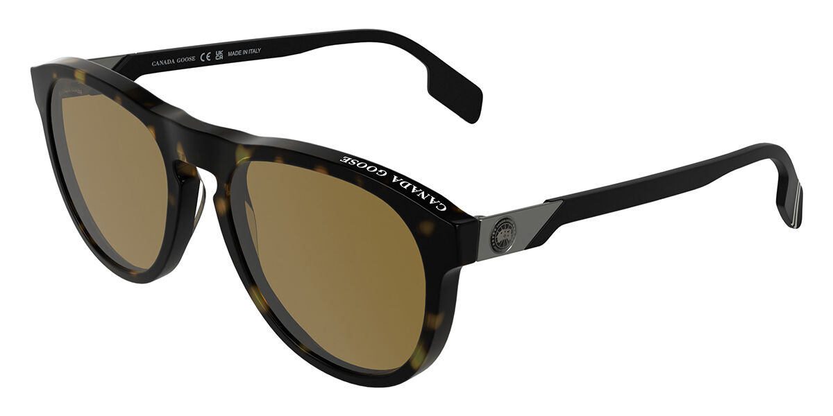 Canada Goose GC2560… - image