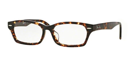 Ray-Ban RX5344D Icons Asian Fit Eyeglasses