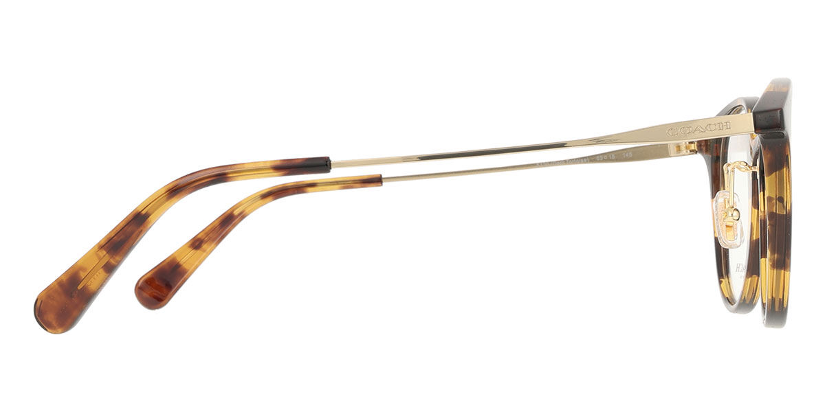 Coach HC6160D Asian Fit 5120 Dark Tortoise 眼鏡 | SmartBuyGlasses 日本