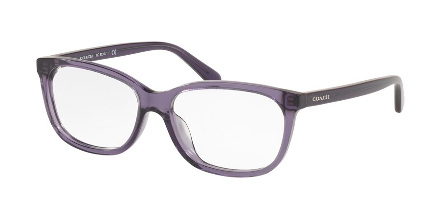 Coach HC6139U 5535 Glasses Transparent Purple | VisionDirect Australia