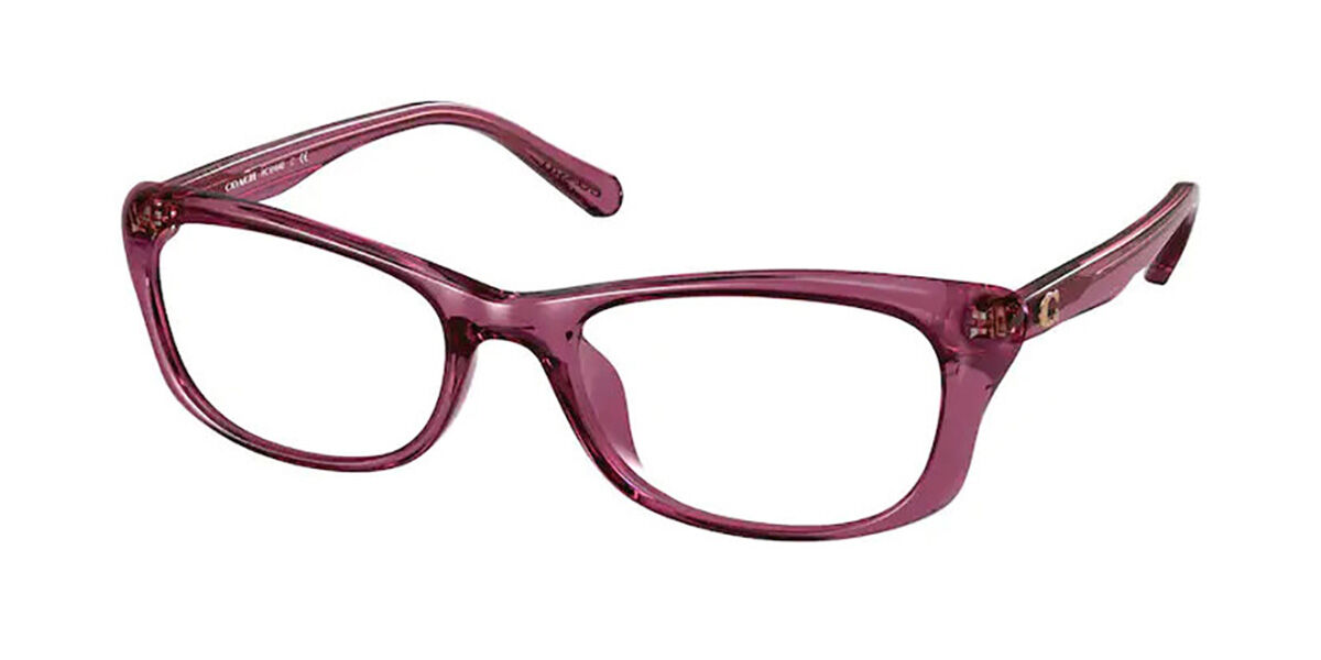 Coach HC6164U 5574 Eyeglasses in Transparent Purple | SmartBuyGlasses USA