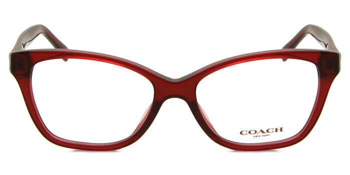 Coach HC6196U 5714 Transparent Blue Eyeglasses  display picture 2