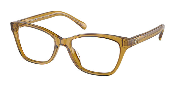 Coach HC6196U 5714 Transparent Blue Eyeglasses  display picture 3