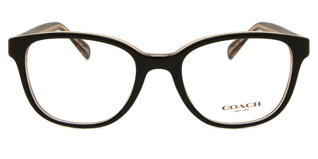 Lunettes HC6224U Black on Transparent Powder Brown