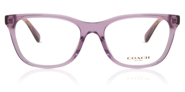 Coach purple frame sunglasses Coach HC8132 L109 - Cat Eye Purple Tortoise Frame Sunglasses  main image 4
