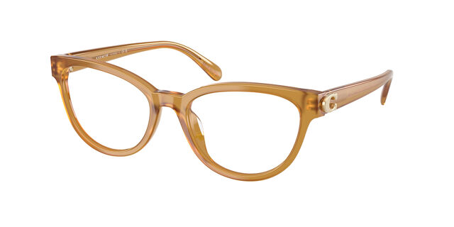 NEW Coach 5774 Milky Amber Frames Glasses Buy Coach Milky Amber Glasses Online - Sunglasses.ie main image 4
