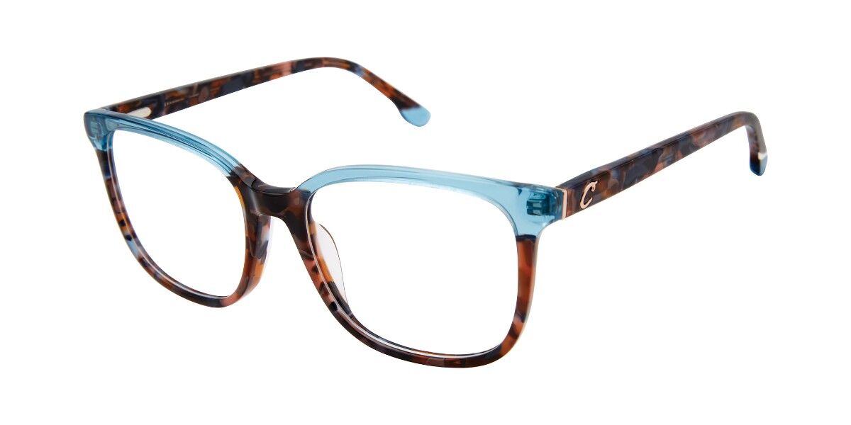 Champion LIFT C01 Square Dark Brown Tortoise Transparent Sky Blue ...