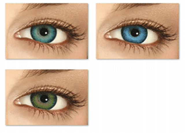 freshlook lentes de contacto descuento
